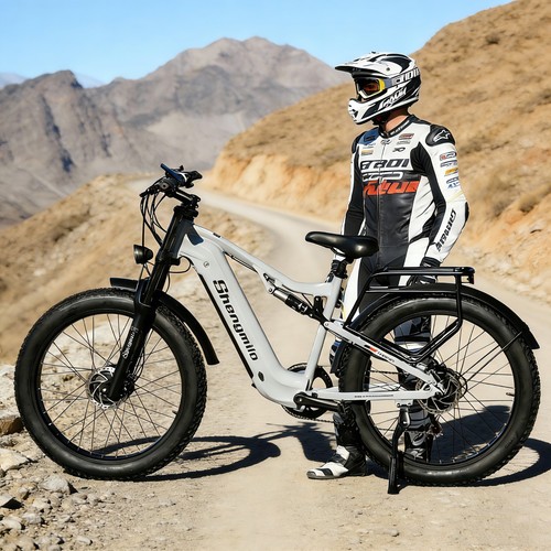 Dual motor electric - dual,