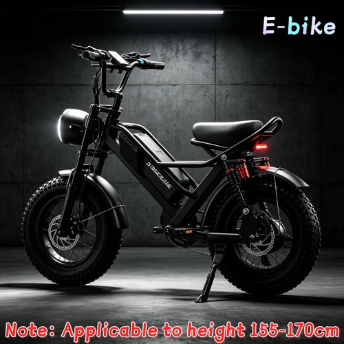 Teens 16in fat tire electric - teens,