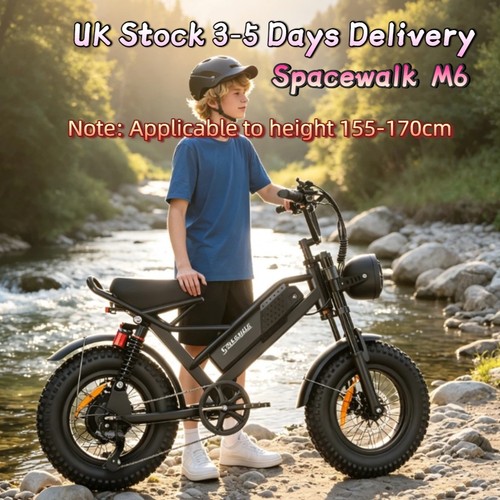 48v 6ah ebike mile - ebike,