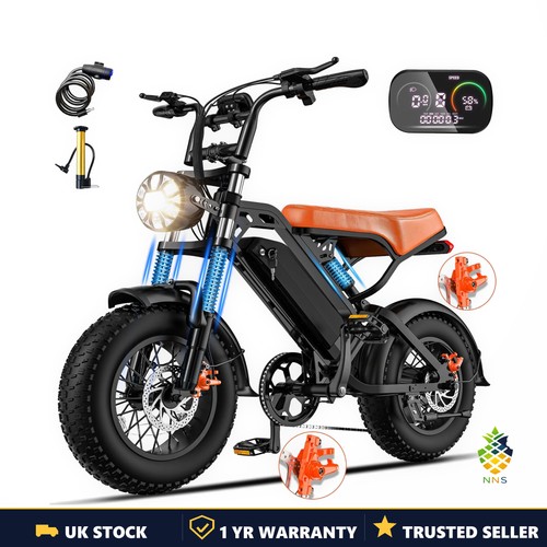 Vintage electric bike 250w 48v - electric,