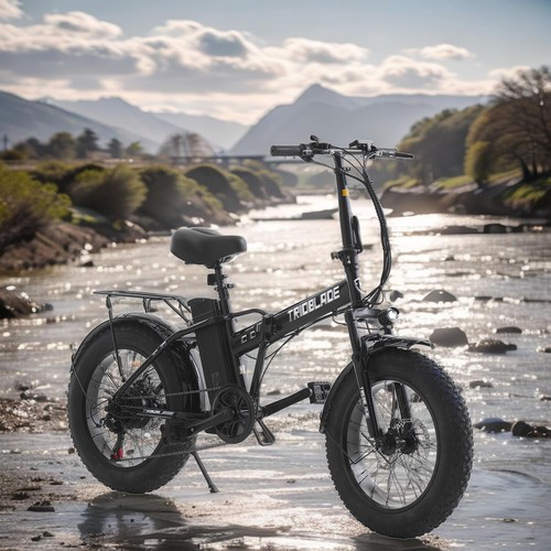 20inch fat tire folding - 20inch,