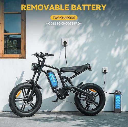 Hidoes fat tyre e - hidoes, e-bike