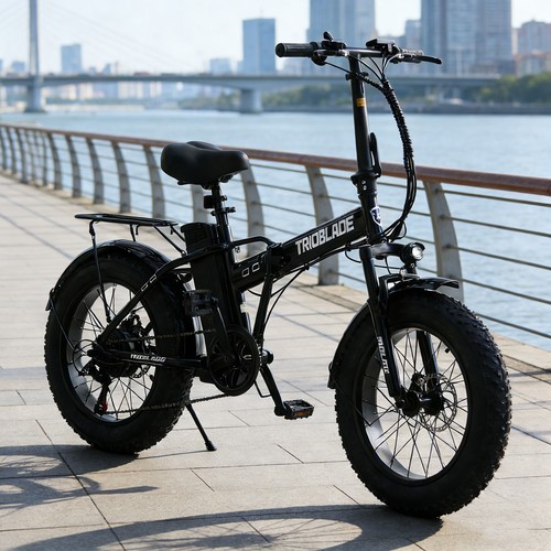Adults electric bike - adults, 20x4.0