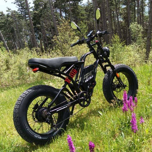 Fafrees electric bike 48v - fafrees,
