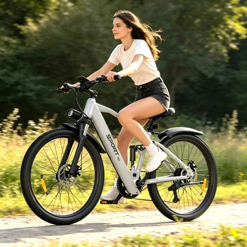 City electric bicycle 250w - city,