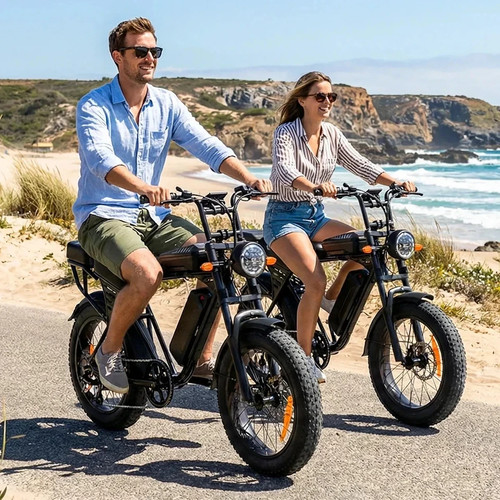 Aairsk electric bike 250w - x5,