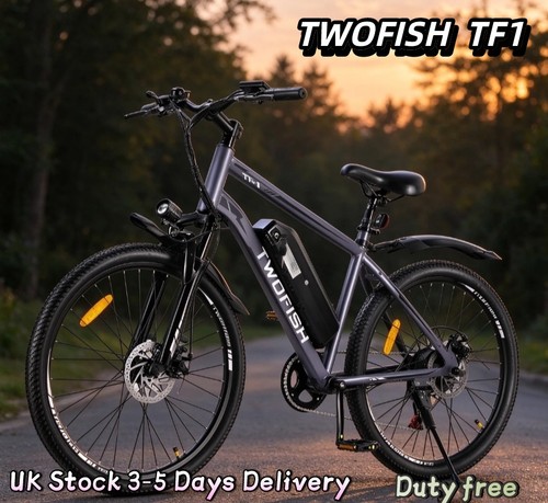 Electric mountain bike - bike, 250w